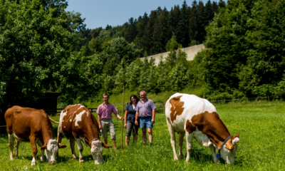 Bio-Bauer Martin Haas auf einer Grasweide mit Kühen.