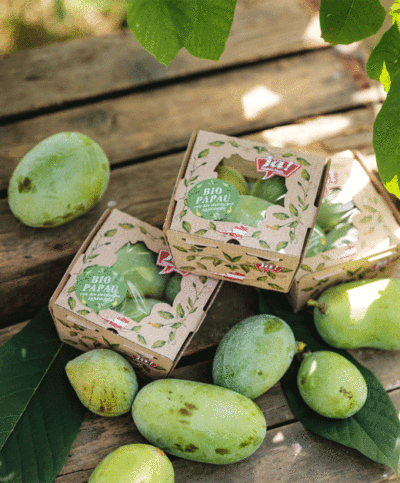 Bio-Papau-Frucht-von-Familie-Köck-bei-Ja!-Natürlich