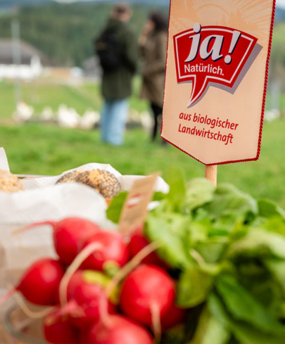 Presse Fieldtrip Bio-Legehennen Ja! Natürlich