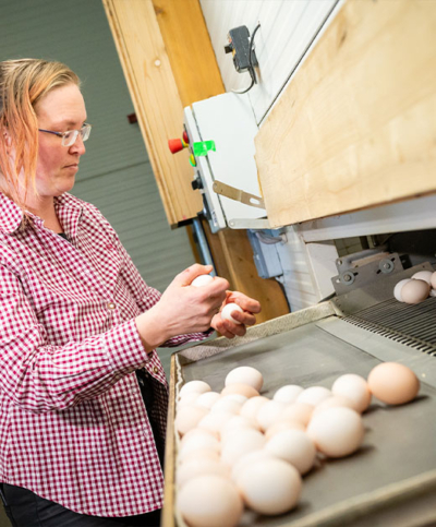 Presse Fieldtrip Bio-Legehennen Ja! Natürlich