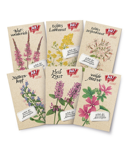 Bio-Wildblumensamen - Ja! Natürlich