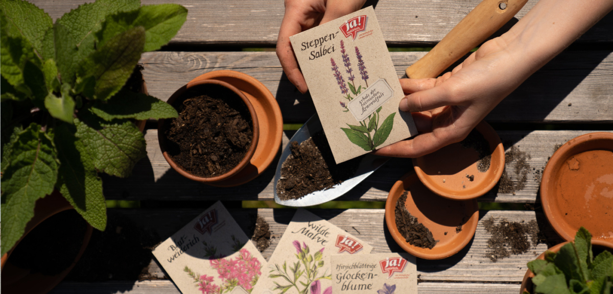 Bio-Steppensalbei - Ja! Natürlich