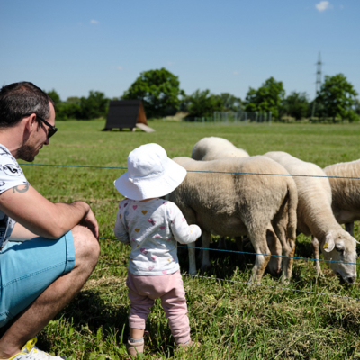 Gewinnspiel Biofeldtage Esterhazy - Ja! Natürlich