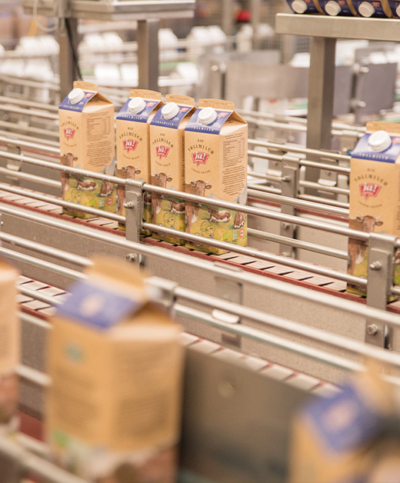 Presse Fieldtrip Pinzgau Milch Ja! Natürlich