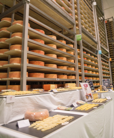 Presse Fieldtrip Pinzgau Milch Ja! Natürlich