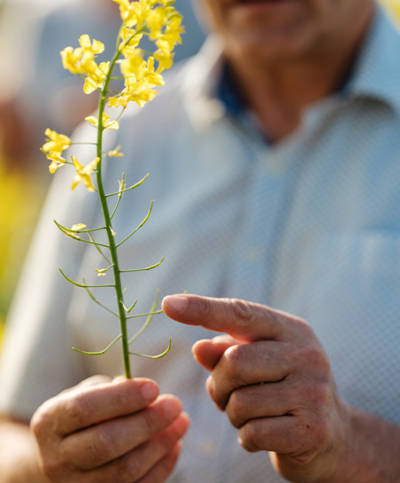 Bio-Bauer mit Rapsblume in der Hand - Ja! Natürlich