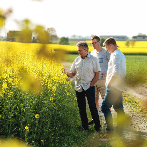 Bio-Bauern am Rapsfeld - Ja! Natürlich