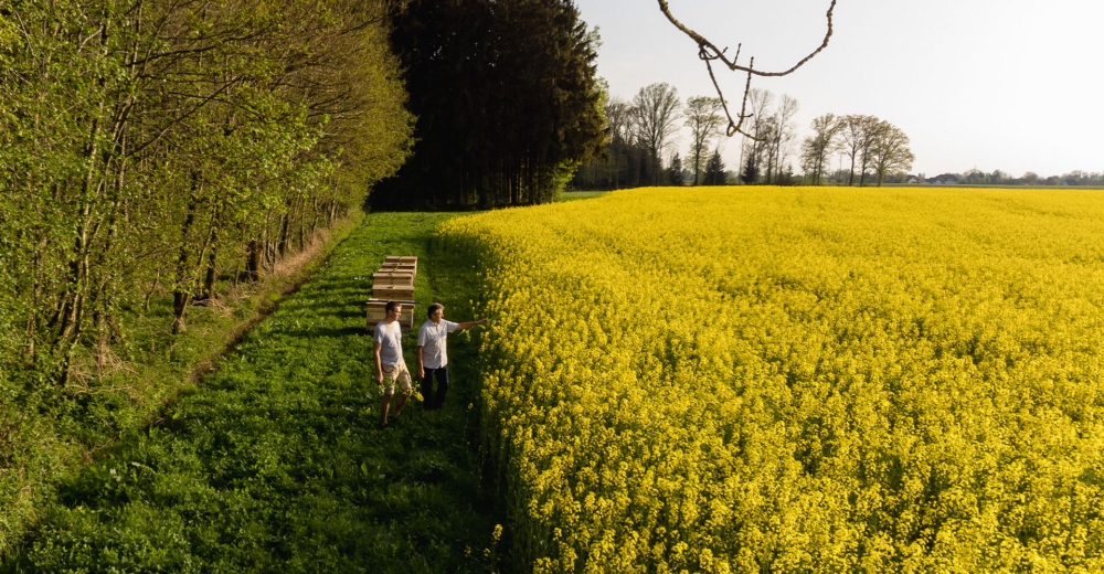Bio-Bauern am Rapsfeld von oben - Ja! Natürlich