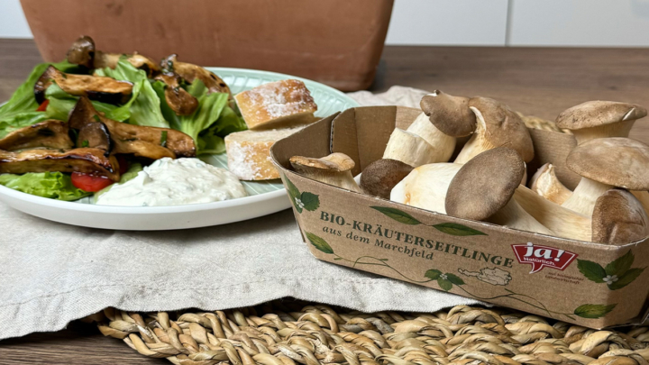 Kräuterseitling Spieße