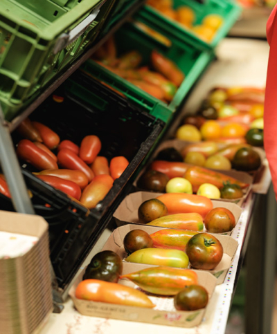 Bio-Tomaten beim Abpacken - Ja! Natürlich