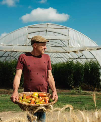 Bauer mit einem Korb voll Tomaten - Ja! Natürlich