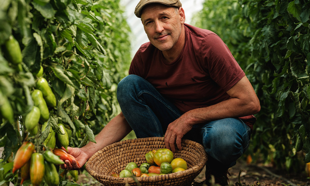 Bio-Bauer Erwin Binder am Tomaten ernten - Ja! Natürlich