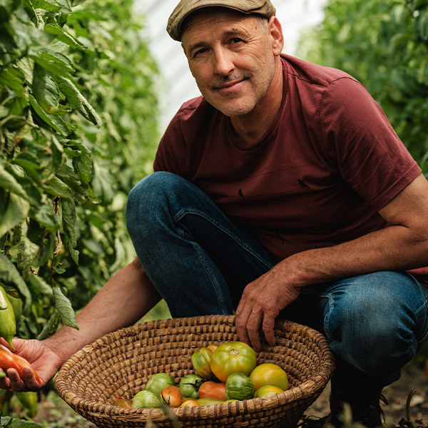 Bio-Bauer Erwin Binder am Tomaten ernten - Ja! Natürlich