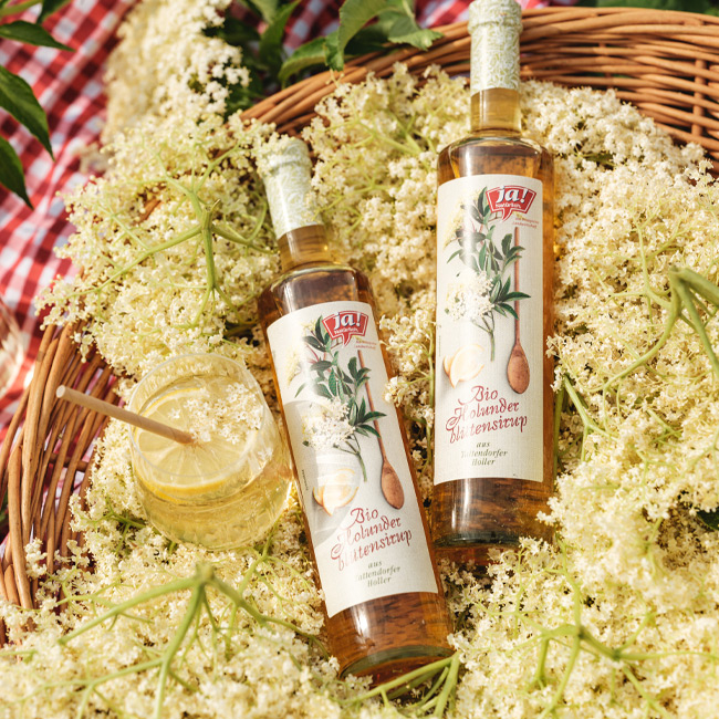Bio-Holunderblütensirup im Korb voller Hollerblüten - Ja! Natürlich