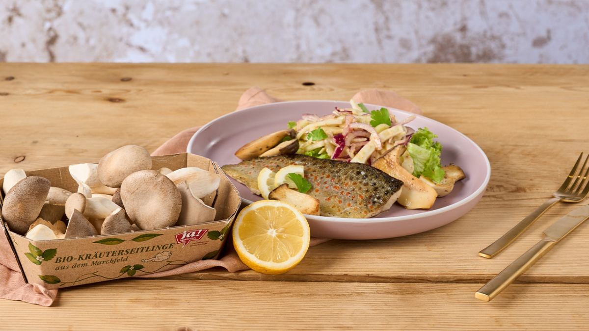 Bachsaibling mit Kräuterseitlingen und Salat | Rezept – Ja! Natürlich