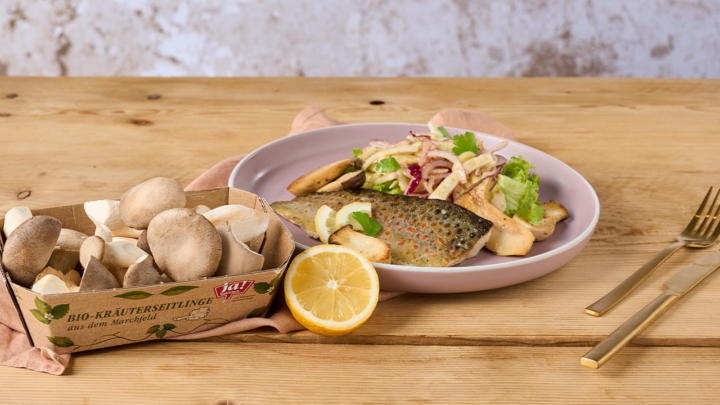 Bachsaibling mit Kräuterseitlingen und Salat