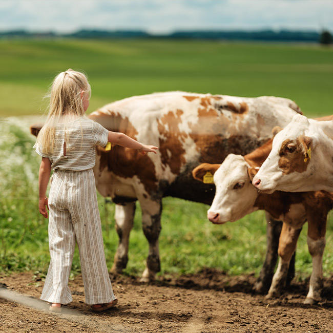 Mädchen auf der Kuhweide - Ja! Natürlich