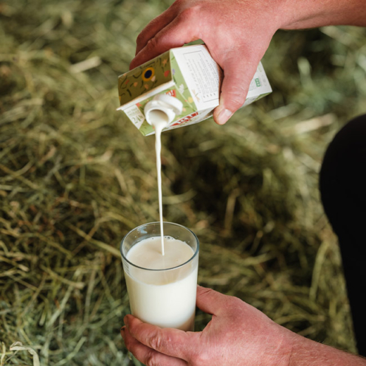 Bio-Milch ins Glas einschenken - Ja! Natürlich