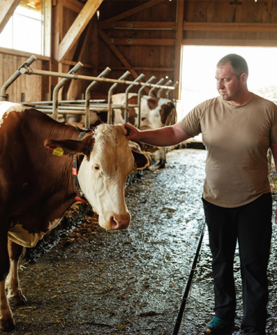 Bio-Bauer mit Kuh im Stall - Ja! Natürlich