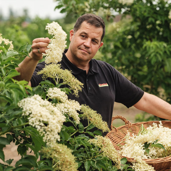 Bio-Bauer am Holler ernten - Ja! Natürlich