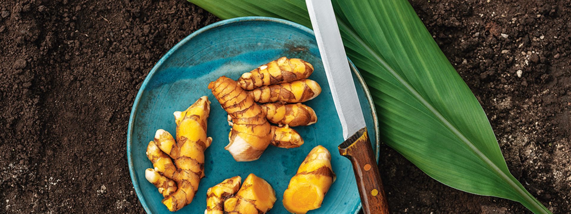 Kurkuma - ein Exot aus Österreich - Ja! Natürlich