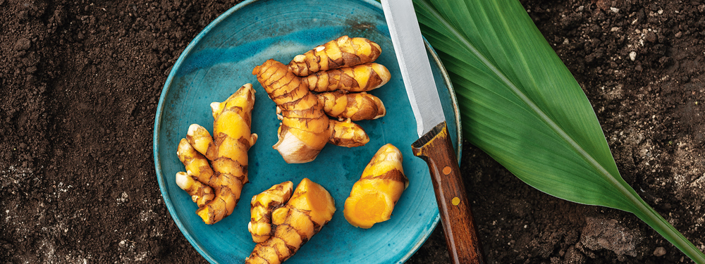 Kurkuma - ein Exot aus Österreich - Ja! Natürlich