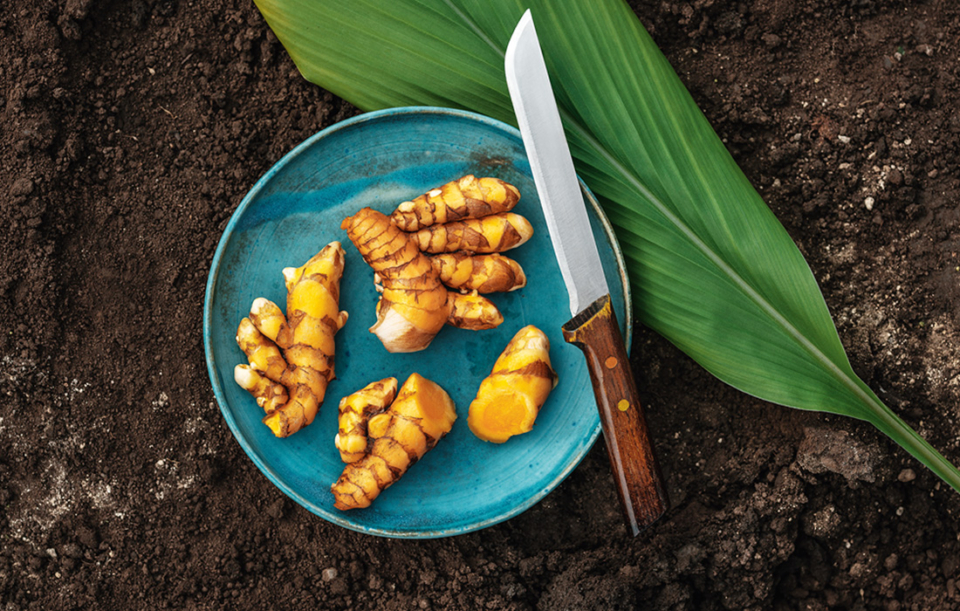 Österreichischer Bio-Kurkuma: Wo gibt’s denn so was?