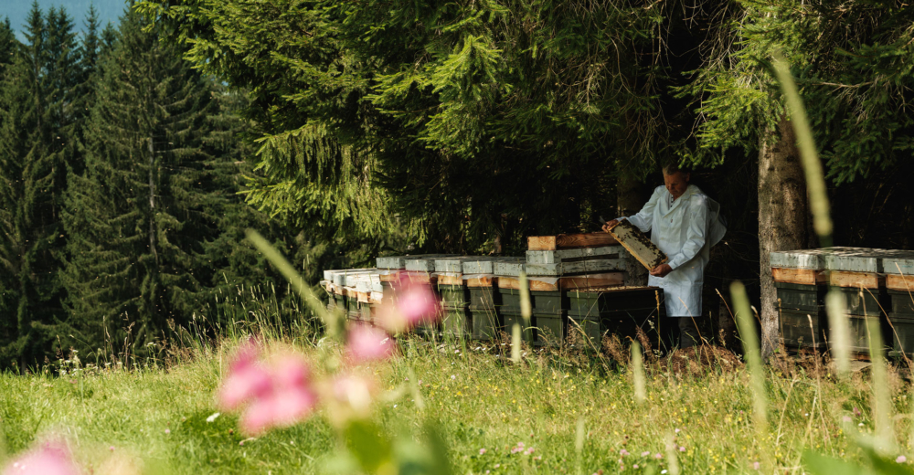 Imker bei Bienenstöcken - Ja! Natürlich