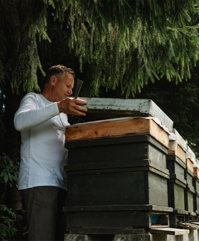 Bio-Bauer Johann Irreger beim Arbeiten als Imker.