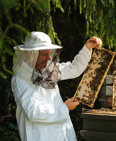 Bio-Bauer Johann Irreger beim Arbeiten als Imker.