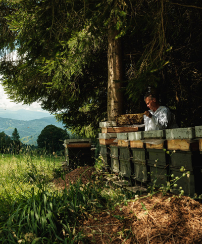 Bienenstöcke im Freien.
