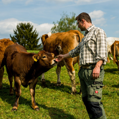 Bio & regional: Bio-Bauer Stefan Eisenberger streichelt Kuh auf Weide - Ja! Natürlich