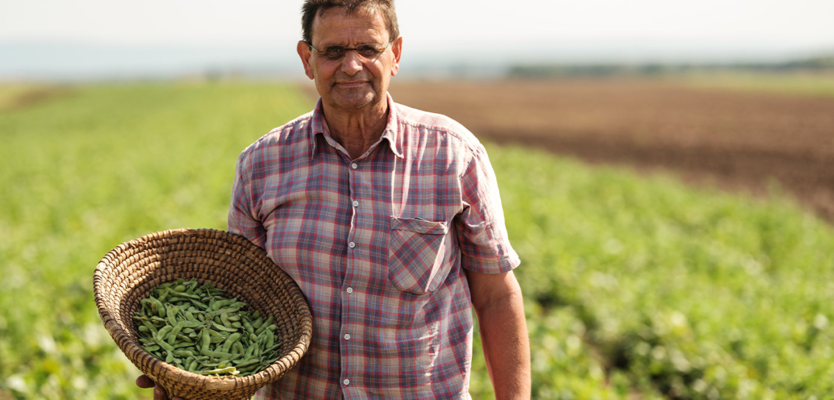 Bio-Bauer am Edamame Feld - Ja! Natürlich