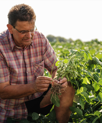 Bio-Bauer am Edamame Feld - Ja! Natürlich