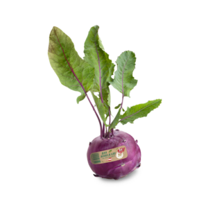 Bio-Kohlrabi violett