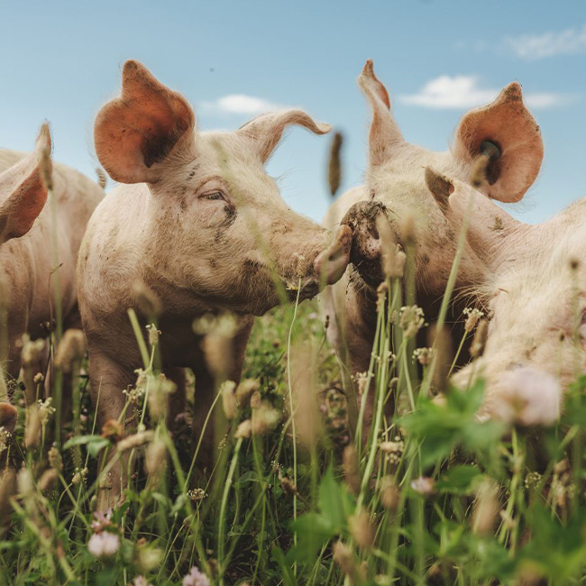 Kreislaufwirtschaft bei Ja! Natürlich