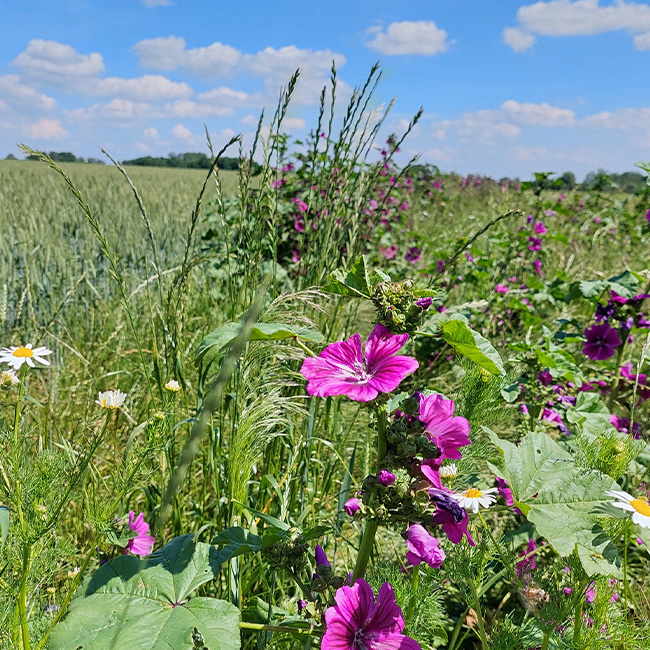 Kreislaufwirtschaft bei Ja! Natürlich