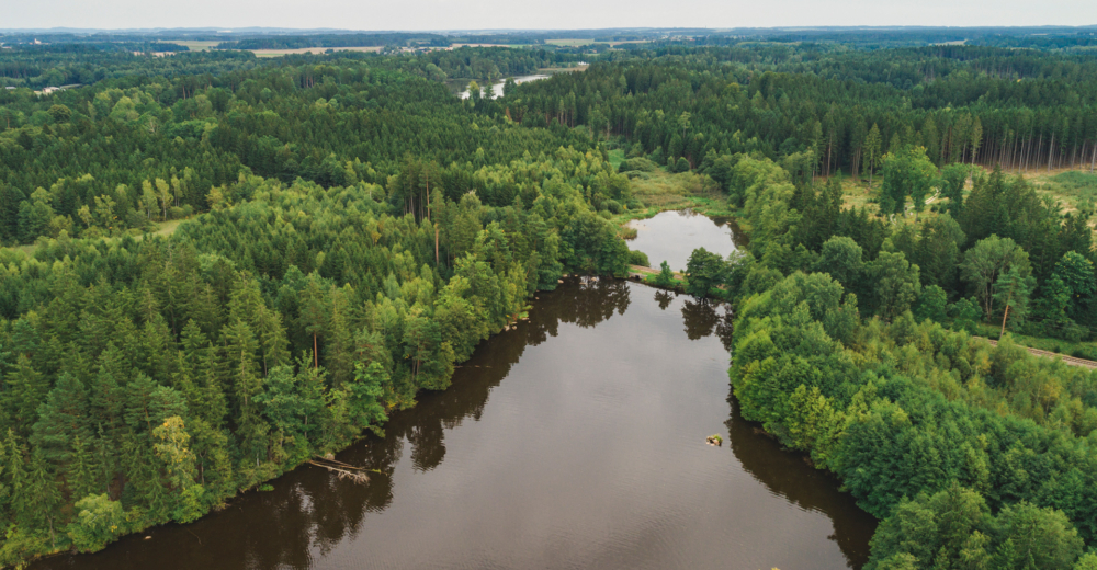 Fischteiche von Andreas Fischer-Ankern - Ja! Natürlich
