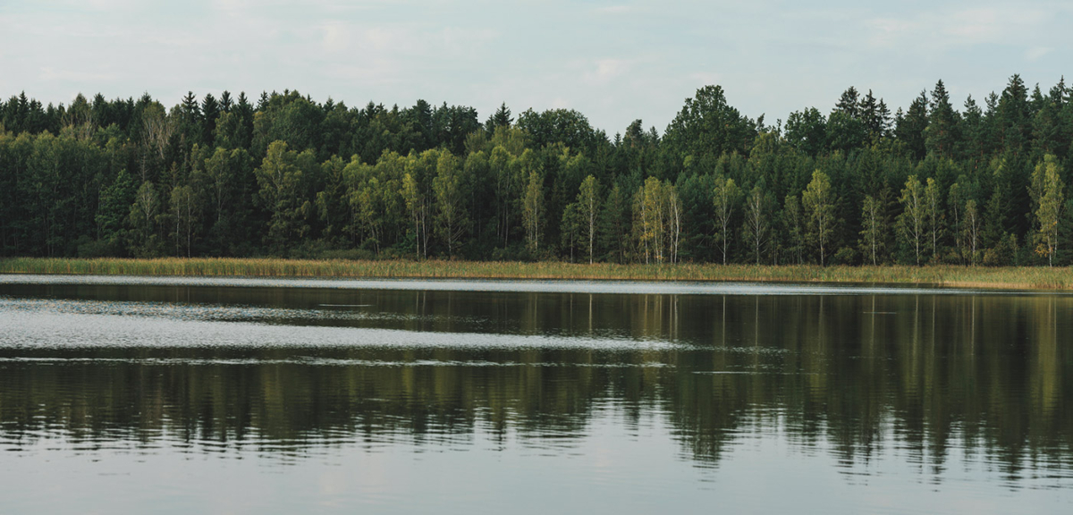 Fischteiche im Waldviertel von Andreas Fischer-Ankern - Ja! Natürlich