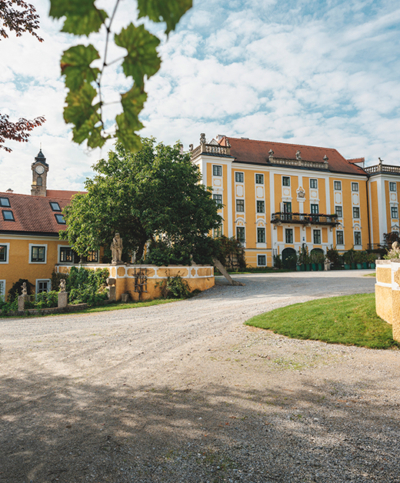 Bio-Bauer Andreas Fischer-Ankern - Schloss - Ja! Natürlich