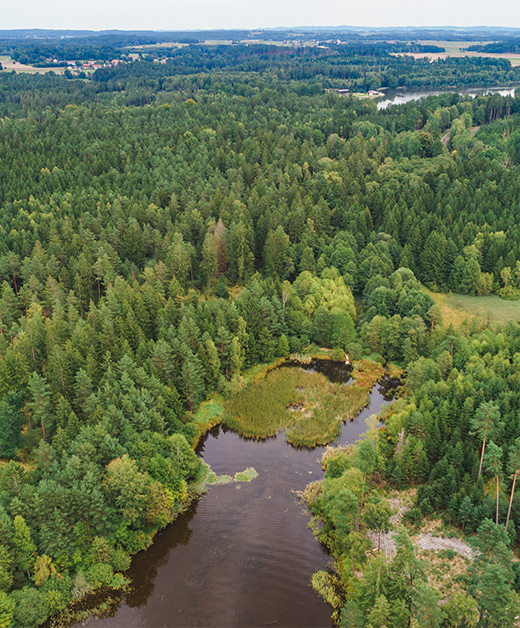Fischteiche im Waldviertel von Andreas Fischer-Ankern - Ja! Natürlich