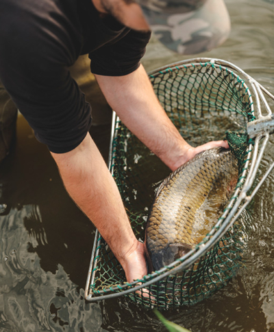 Karpfen im Netz von Andreas Fischer-Ankern - Ja! Natürlich