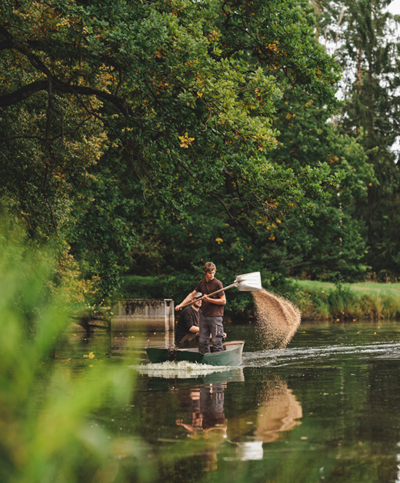 Karpfenfütterung vom Boot aus - Andreas Fischer-Ankern - Ja! Natürlich