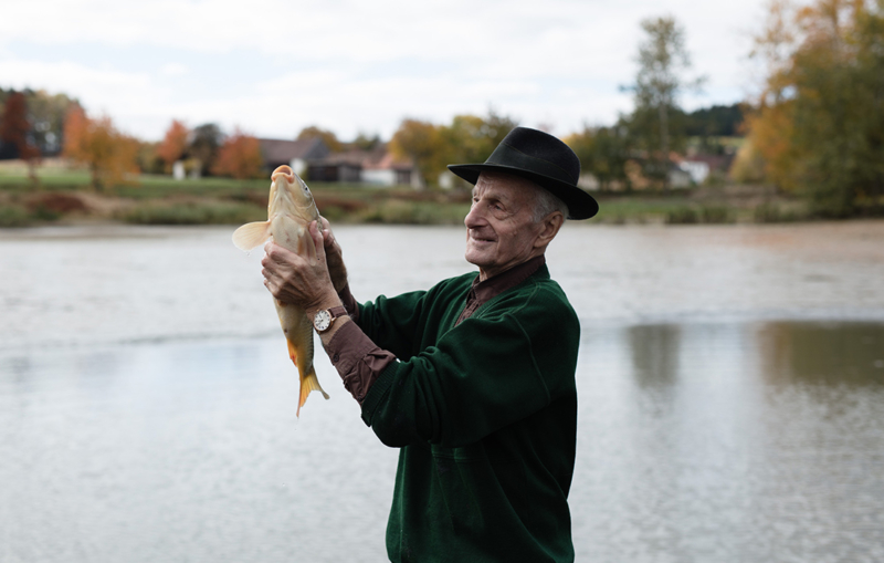 Waldviertler Bio-Karpfen: die besten Rezepte