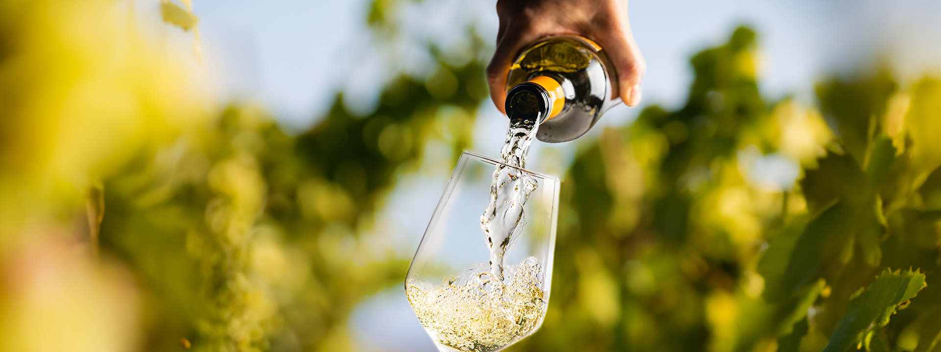 Bio-Wein zu welchem Essen? Bio-Wein von Ja! Natürlich