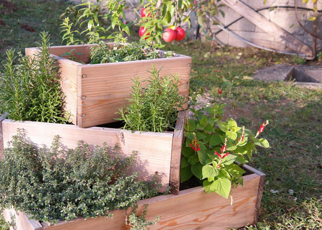 Beet mit Gemüse und Kräutern.