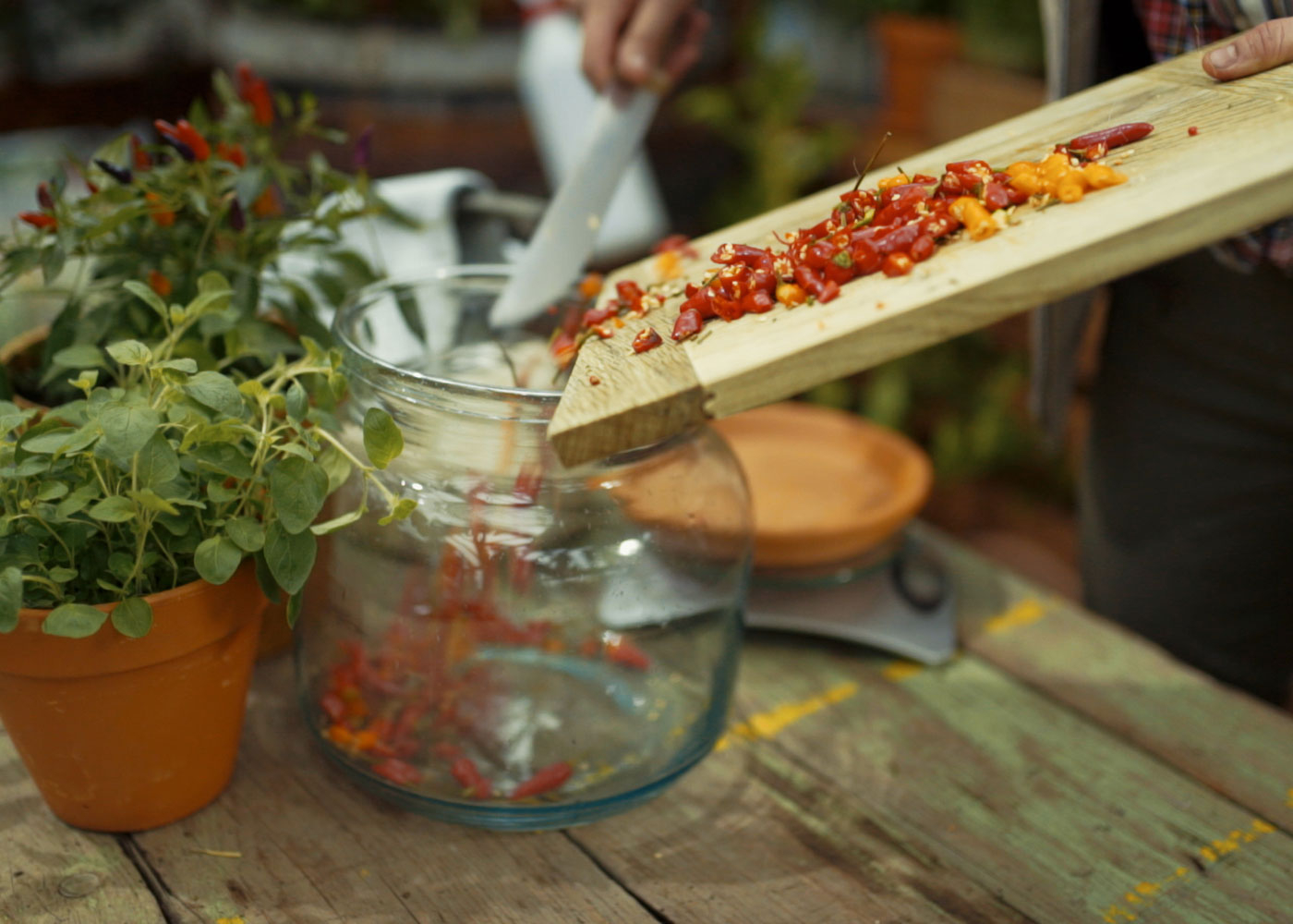 Jemand gibt klein geschnittene Chillis in ein Einmachglas.
