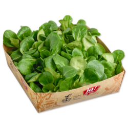 Bio-Vogerlsalat