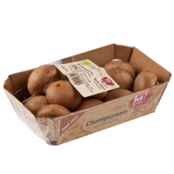 Bio-Champignon creme
