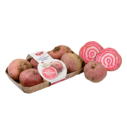 Bio-Rote Rübe „Tonda di Chioggia“